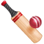 cricket bat and ball on platform Whatsapp