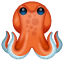 octopus on platform Whatsapp