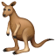 kangaroo on platform Whatsapp