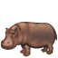 hippopotamus on platform Whatsapp