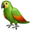 parrot on platform Whatsapp
