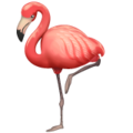 flamingo on platform Whatsapp