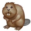 beaver on platform Whatsapp