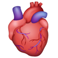 anatomical heart on platform Whatsapp