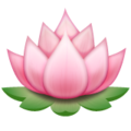 lotus on platform Whatsapp