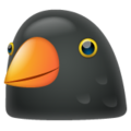 black bird on platform Whatsapp
