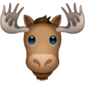 moose on platform Whatsapp