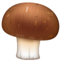 brown mushroom on platform Whatsapp